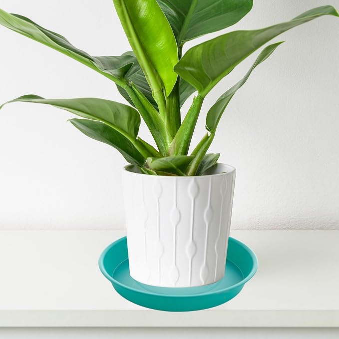 6 Pack Plastic Plant Saucer Water Drip Tray, 4 5 6 7 8 9 10 11 12 13 15 17 19 - Image 5