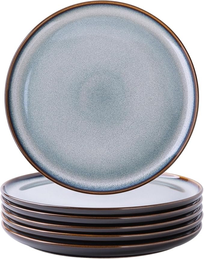 LERATIO Ceramic Dinner Plates Set of 4, 10.5 Inch Reactive Glaze Plate Sets | by LeRatio