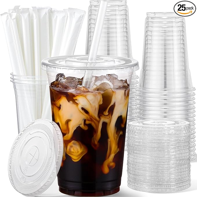 AOZITA 20 oz Plastic Cups with Lids and Straws, 25 Pack, Disposable Iced Coffee by AOZITA