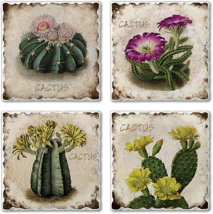 Thirstystone Cactus Flowers 4 Pack Assorted Tumbled Tile Stone Coasters | 4" by CounterArt