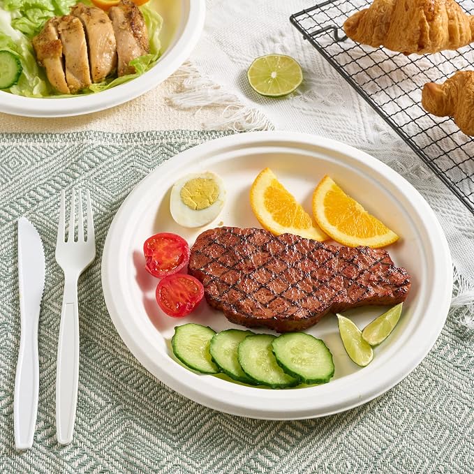 Vplus 500 Pack Compostable Bagasse Paper Plates 9 inch, 100% Bagasse, Natural - Image 5