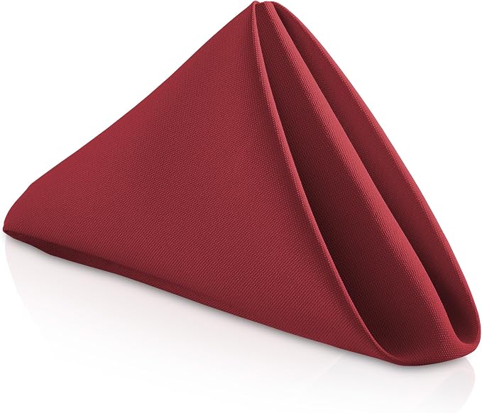 Lann's Linens Set of 12 Cloth Dinner Napkins, 20-inch Polyester Napkins by LannsLinens