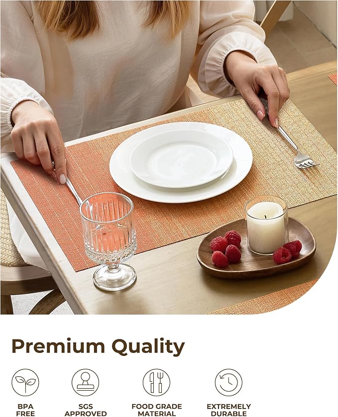Leetaltree Gradient Burnt Orange Woven Placemats Set of 4 - Image 5