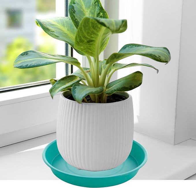 6 Pack Plastic Plant Saucer Water Drip Tray, 4 5 6 7 8 9 10 11 12 13 15 17 19 - Image 4