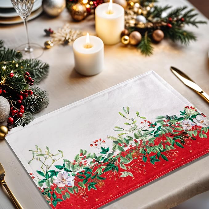 Maison d' Hermine Placemats Set of 4 Reusable 100% Cotton | Cloth Place Mats - Image 5