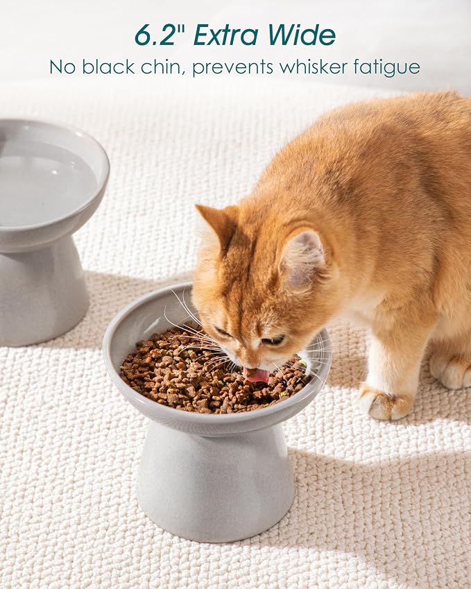 vancasso Ceramic Elevated Cat Bowls 2-Pack - Image 4