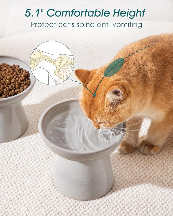 vancasso Ceramic Elevated Cat Bowls 2-Pack - Image 5