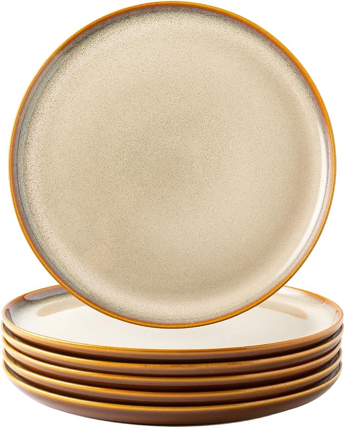LERATIO Ceramic Dinner Plates Set of 4, 10.5 Inch Reactive Glaze Plate Sets | by LeRatio