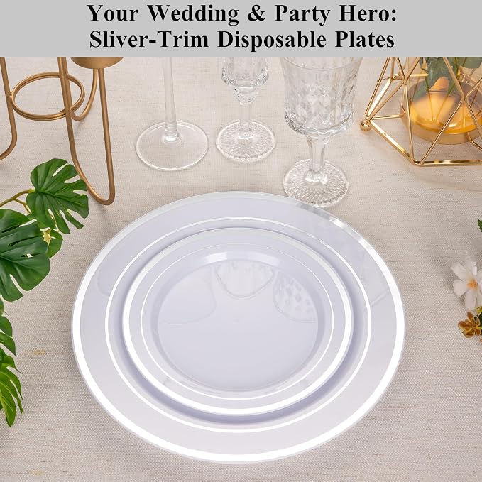 100Pcs Silver Rim Plastic Dinner Plates, 10.25 Inch | Heavy Duty Disposable - Image 6