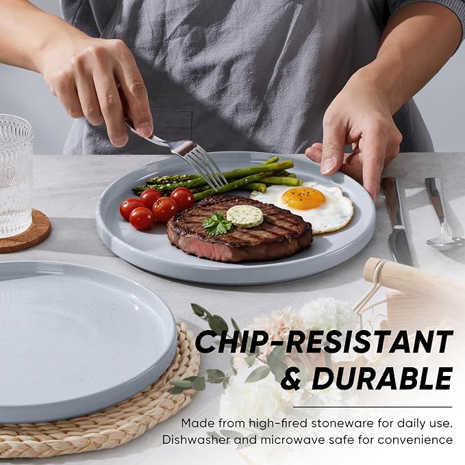E-far Dinner Plates Set of 6, 10.5 Inch Stoneware Dinner Plate, Chip & Scratch - Image 3
