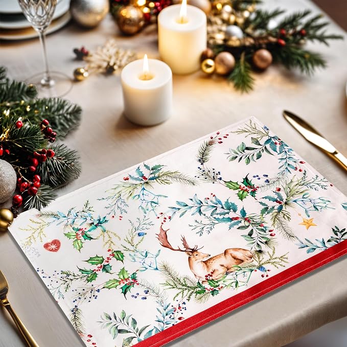 Maison d' Hermine Placemats Set of 4 Reusable 100% Cotton | Cloth Place Mats - Image 5