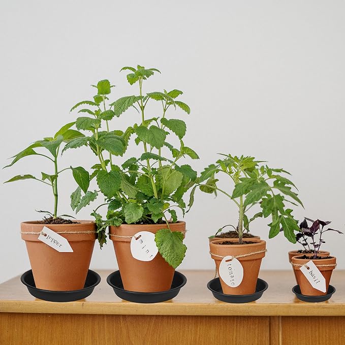 6 Pack of 7 inch Plant Saucer, Heavy Duty Plastic Plant Water Tray 7 inch Round - Image 3