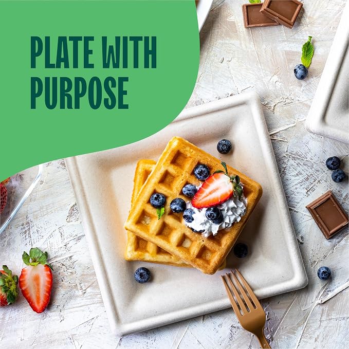 100% Compostable Square Paper Plates - Image 3
