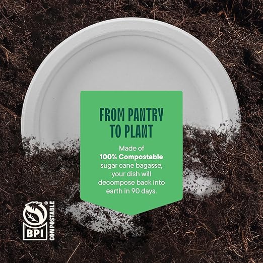 100% Compostable Disposable Paper Plates - Image 6