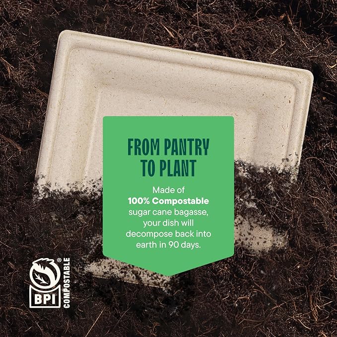 100% Compostable Square Paper Plates - Image 6