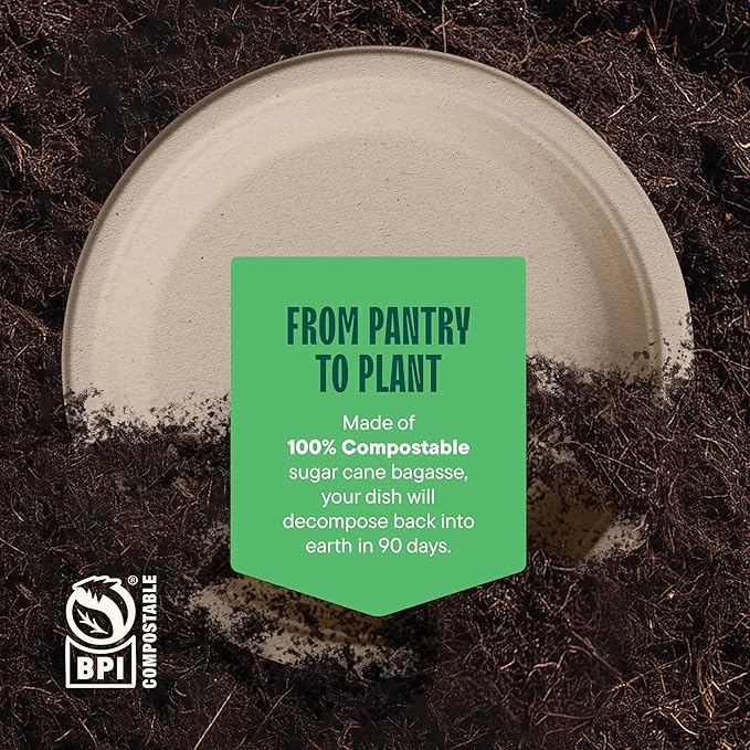 Paper Plates, 100% Compostable Heavy Duty Disposable 10 Inch Plate - Image 6