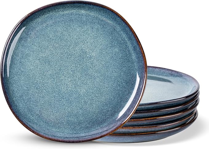 AmorArc Ceramic Dinner Plates Set of 6, 10.5 Inch Stoneware Plates Set | by AmorArc