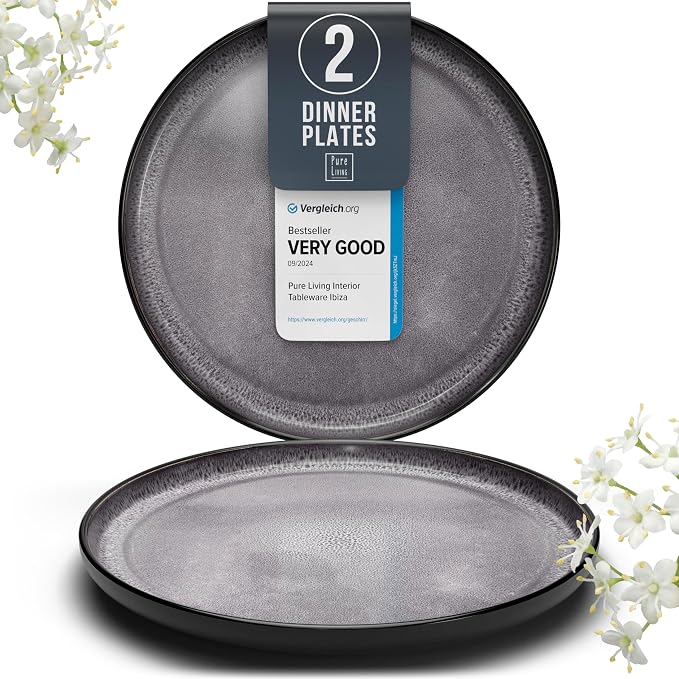 PURE LIVING INTERIOR DESIGN Stoneware Dinner Plates Set of 2, Large Dark Gray by PURELIVING