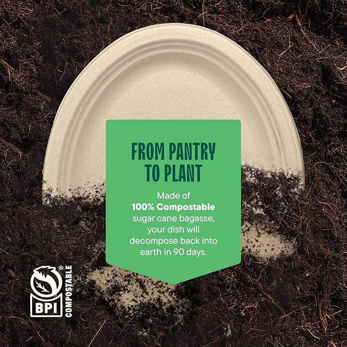100% Compostable Oval Paper Plates - Image 6