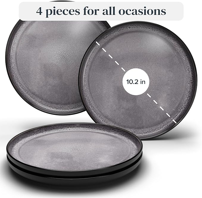 PURE LIVING INTERIOR DESIGN 4 Pcs Stoneware Dinner Plates Set - Image 3