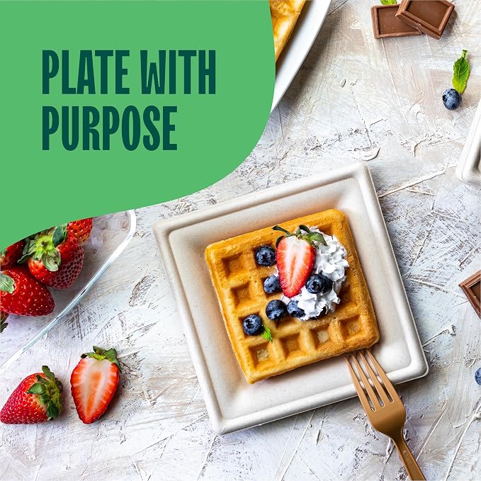 100% Compostable Square Paper Plates - Image 3