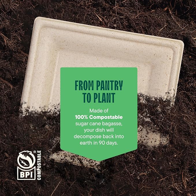 100% Compostable Square Paper Plates - Image 6