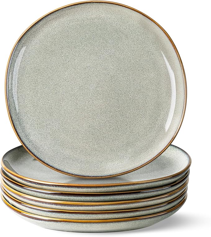 AmorArc Ceramic Dinner Plates Set of 6, 10.5 Inch Stoneware Plates Set | by AmorArc